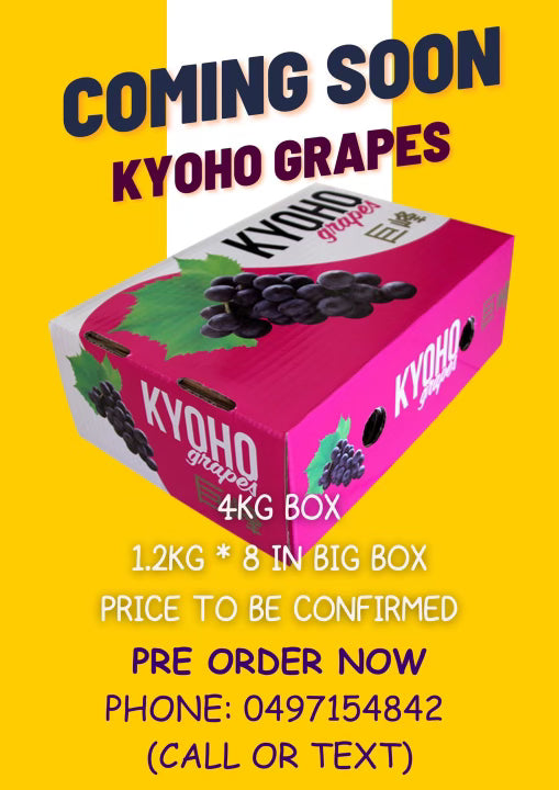 Kyoho Grapes 1.2kg      (Pre-order Now!)